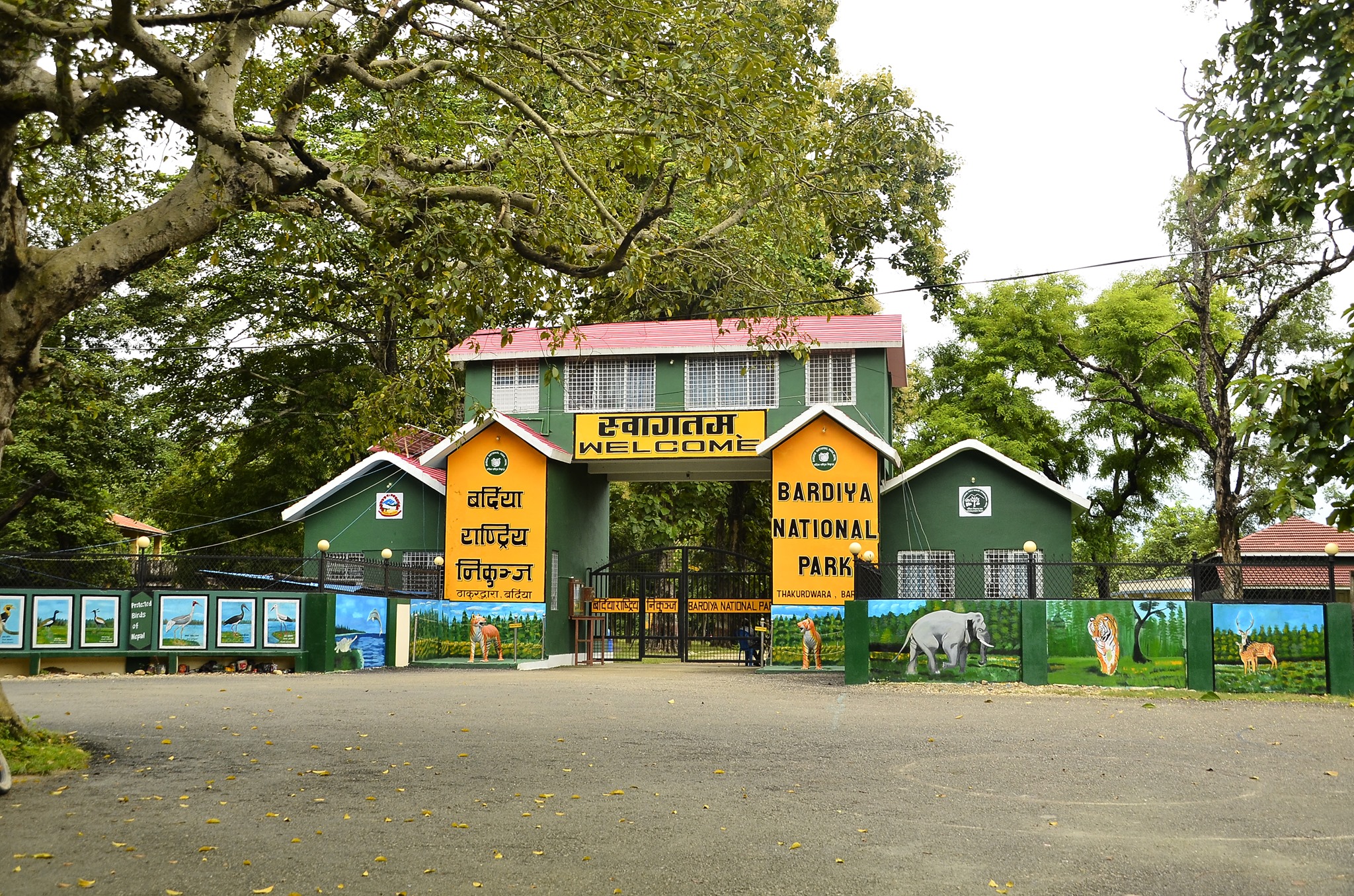 Over 2,800 Tourists Visit Bardiya National Park During Dashain and Tihar